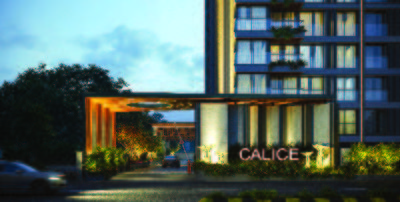 POLARIS CALICE