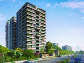 ROSEVILL REGIUS